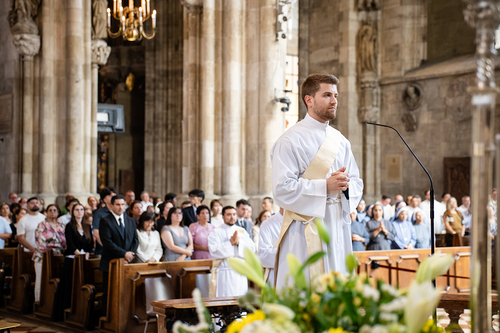 Priesterweihe 2026 / Erzdiözese Wien/ Schönlaub, Stephan Schönlaub