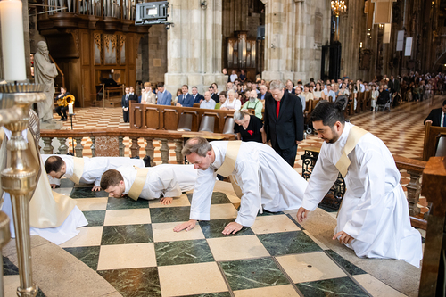 Priesterweihe 2026 / Erzdiözese Wien/ Schönlaub, Stephan Schönlaub