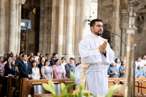 Priesterweihe 2026 / Erzdiözese Wien/ Schönlaub, Stephan Schönlaub
